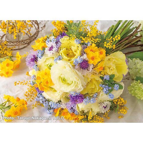 �A�b�v������ 500�s�[�X �K���̃`�A�t���u�[�P 500-313 �y�v���U�Z���N�g�z_0