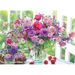 �A�b�v������ 500�s�[�X �z���܂�̃\�i�^ 500-294 �y�v���U�Z���N�g�z