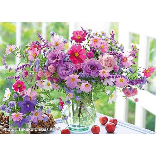 �A�b�v������ 500�s�[�X �z���܂�̃\�i�^ 500-294 �y�v���U�Z���N�g�z_0