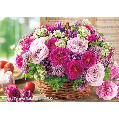 �A�b�v������ 500�s�[�X �o���F�̃G�`���[�h 500-299 �y�v���U�Z���N�g�z_0