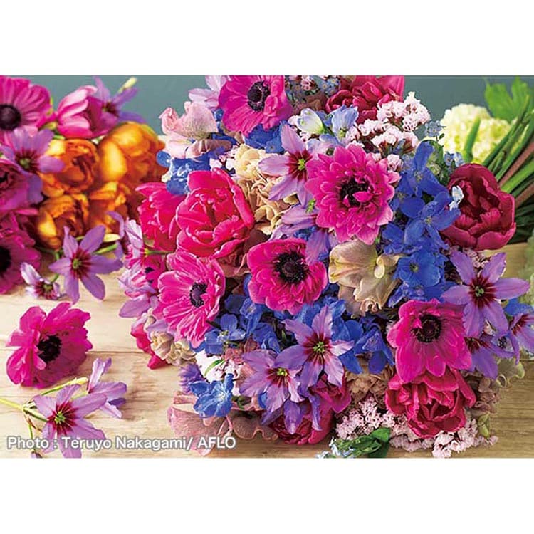 �A�b�v������ 500�s�[�X �킵�̃A�l���l 500-300 �y�v���U�Z���N�g�z