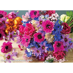 �A�b�v������ 500�s�[�X �킵�̃A�l���l 500-300 �y�v���U�Z���N�g�z