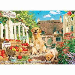 �A�b�v������ 500�s�[�X �q���ƃA�b�v���K�[�f�� 500-325 �y�v���U�Z���N�g�z