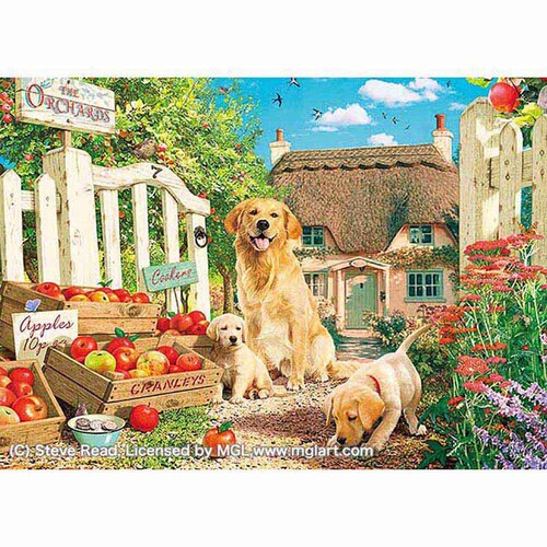 �A�b�v������ 500�s�[�X �q���ƃA�b�v���K�[�f�� 500-325 �y�v���U�Z���N�g�z_0