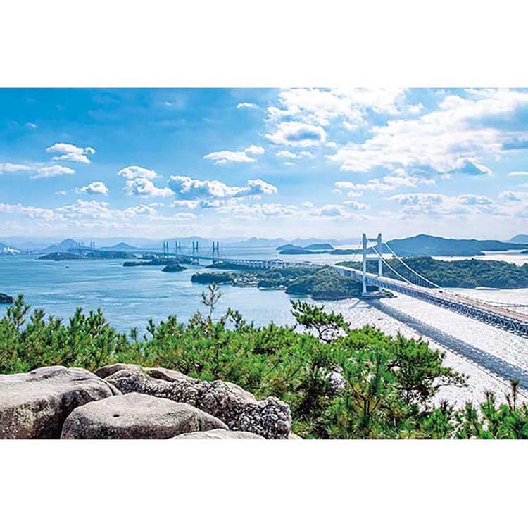 �A�b�v������ 1000�s�[�X �h�H�R���琣�ˑ勴 1000-891 �y�v���U�Z���N�g�z