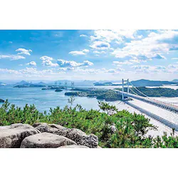 �A�b�v������ 1000�s�[�X �h�H�R���琣�ˑ勴 1000-891 �y�v���U�Z���N�g�z