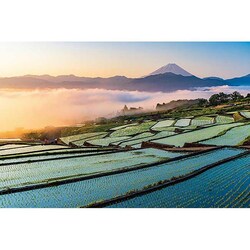 �A�b�v������ 1000�s�[�X ���Ă��̕x�m�ƒI�c 1000-914 �y�v���U�Z���N�g�z