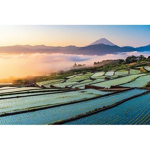 �A�b�v������ 1000�s�[�X ���Ă��̕x�m�ƒI�c 1000-914 �y�v���U�Z���N�g�z_0