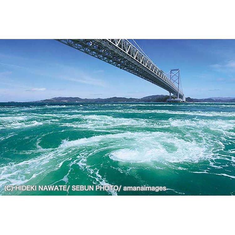 �A�b�v������ 1000�s�[�X ��勴�Ƃ����� 1000-913 �y�v���U�Z���N�g�z