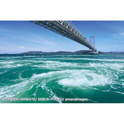 �A�b�v������ 1000�s�[�X ��勴�Ƃ����� 1000-913 �y�v���U�Z���N�g�z