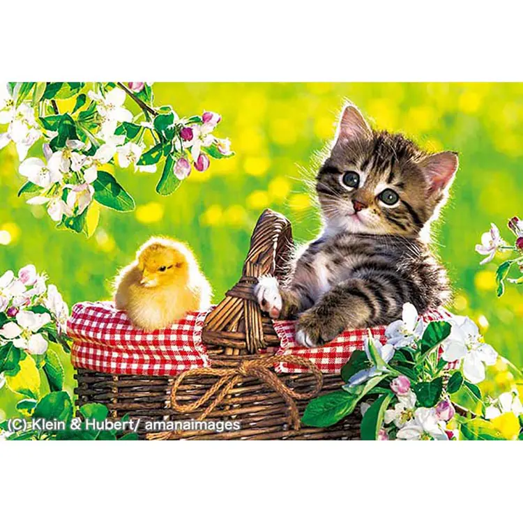 �ǉ����i�T���l�C��