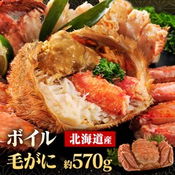 �k�C���Y�{�C���уK�j 570g ���y�\��z1�����{���딭���\��