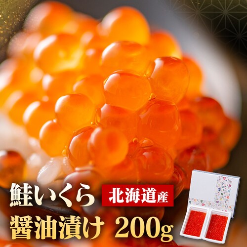 �k�C���Y������ݖ���100g�~2 _0