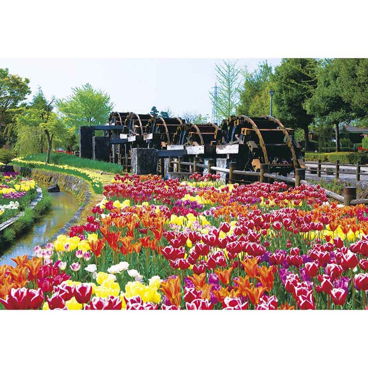 ��̂܂� �p�Y�� 108P �`���[���b�v �]�ԌO��i�x�R�j 01-2069 �y�v���U�Z���N�g�z