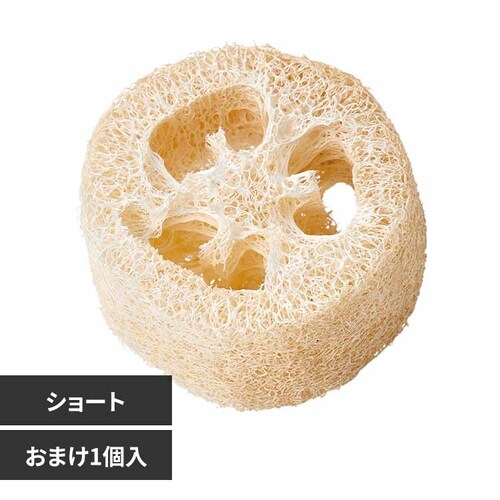 minimal LAND ミニマル工房 ヘチマトイ ショート1個+おまけ1個 ML-685 【プラザセレクト】_0