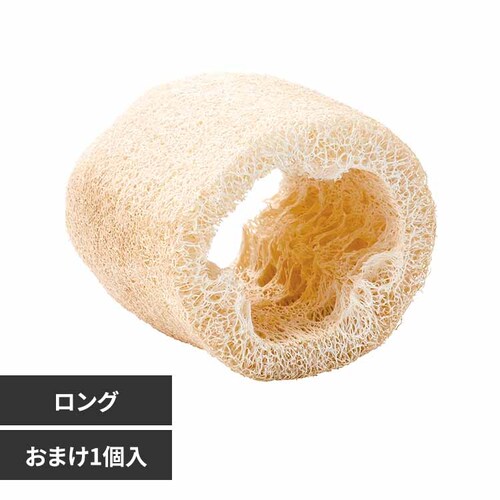 minimal LAND �~�j�}���H�[ �w�`�}�g�C �����O1�{���܂�1�� ML-686 �y�v���U�Z���N�g�z_0