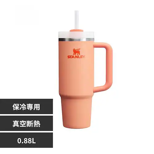 �X�^�����[ H2.0�^��X�����N�G���`���[0.88L �l�N�^����_0