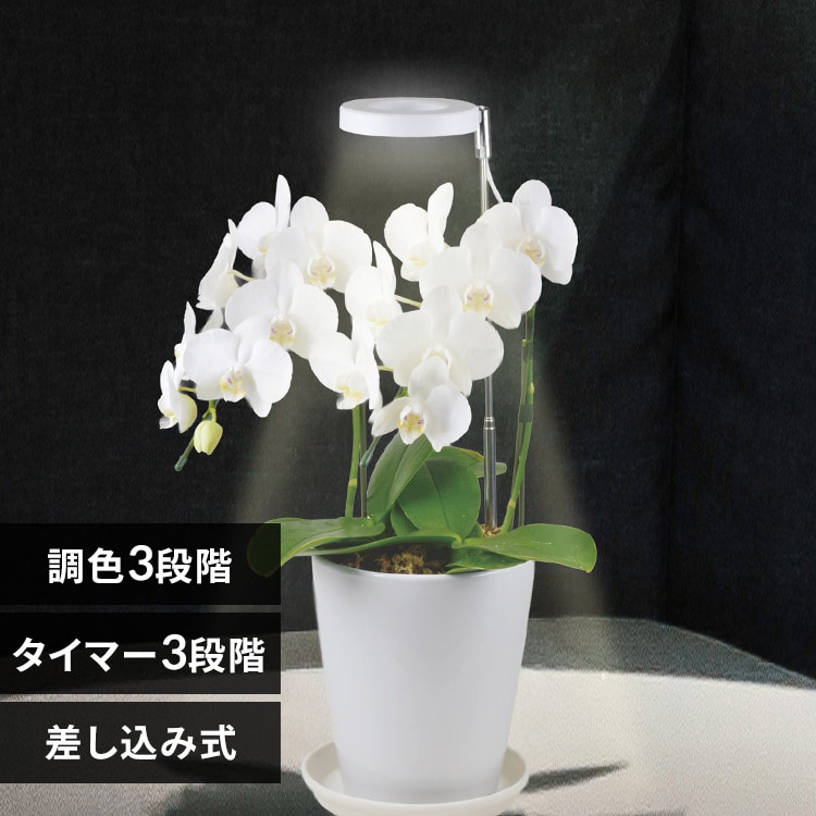 �A���琬���C�g �������ݎ��@285lm TT-YG02NA2A-W �y�v���U�Z���N�g�z