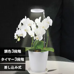 �A���琬���C�g �������ݎ��@285lm TT-YG02NA2A-W �y�v���U�Z���N�g�z