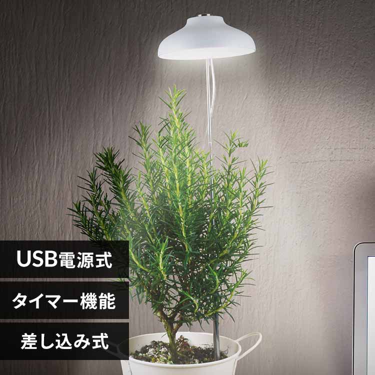 �A���琬���C�g �������ݎ� 250lm TT-YG01NA1A-W �y�v���U�Z���N�g�z