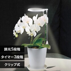 �A���琬���C�g �v�����^�[�N���b�v�� 270lm TT-YG02NA1A-W �y�v���U�Z���N�g�z