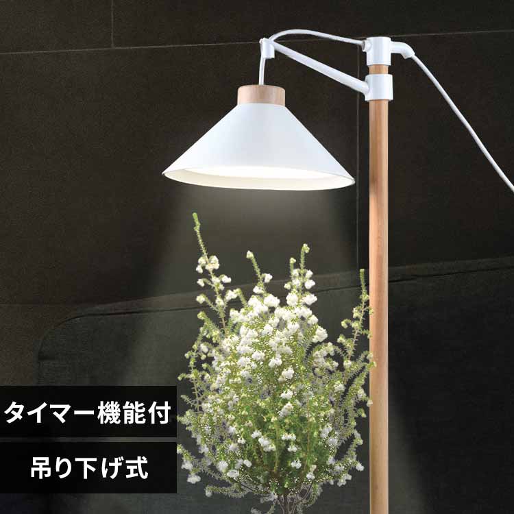 �A���琬���C�g �݂艺����?400lm TT-YG04N1A-W �y�v���U�Z���N�g�z