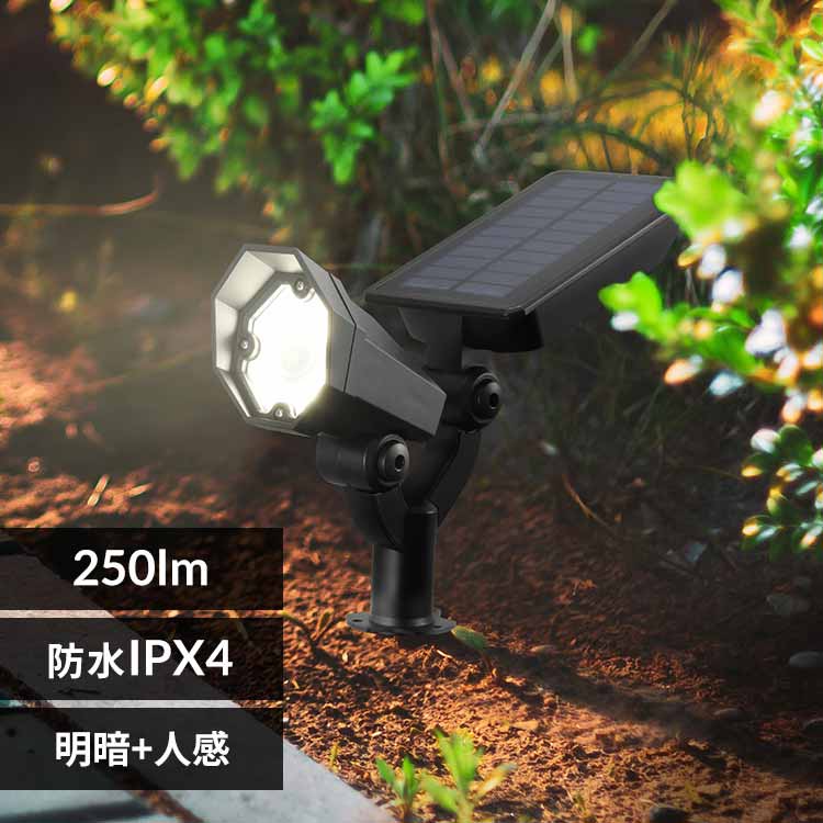 �\�[���[�K�[�f�����C�g 250lm LS-B250JGS-S �y�v���U�Z���N�g�z