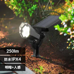 �\�[���[�K�[�f�����C�g 250lm LS-B250JGS-S �y�v���U�Z���N�g�z