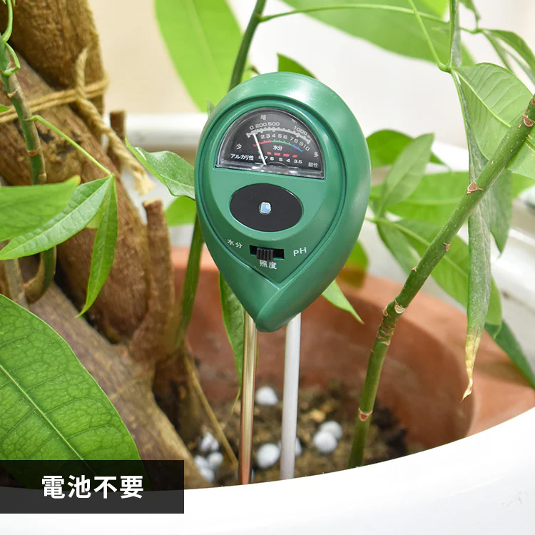 �ǉ����i�T���l�C��