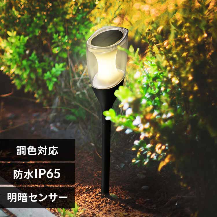 �K�[�f�����C�g�@���F LT-SYL1DW �y�v���U�Z���N�g�z