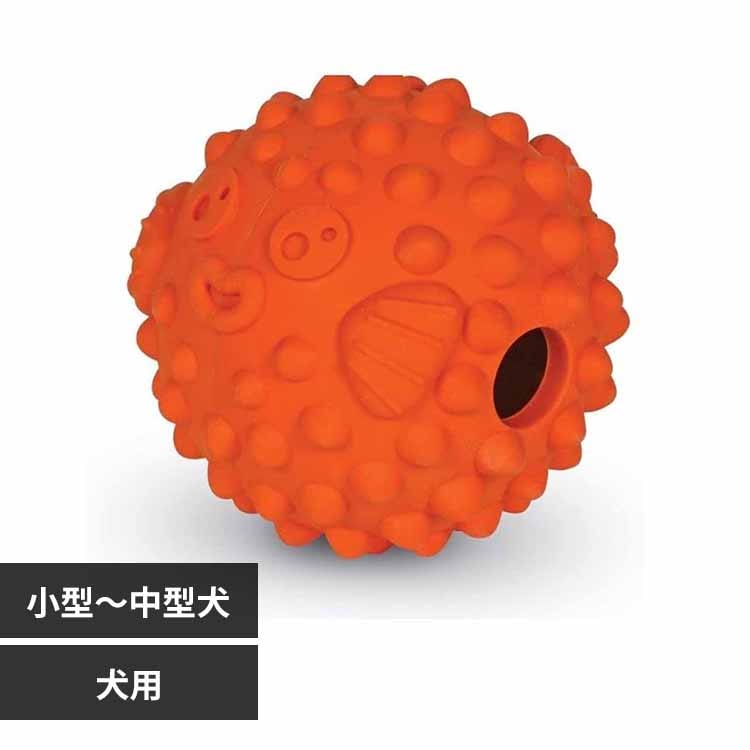 �u���C�g�L���Y(Brightkins) �g���[�c�݂����I�n���Z���{���i���j LER 9388 �y�v���U�Z���N�g�z