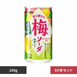 �y30�{�z����u�₩�~�\�[�_ 190g�~2�P�[�X 