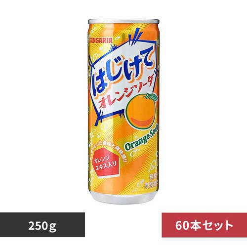 �y30�{�z�͂����ăI�����W�\�[�_ 250g�~2�P�[�X _0