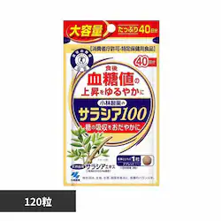 �T���V�A100 120�� �y�v���U�Z���N�g�z