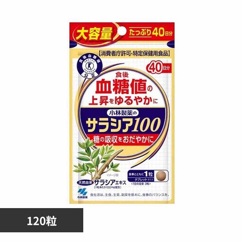 �T���V�A100 120�� �y�v���U�Z���N�g�z_0