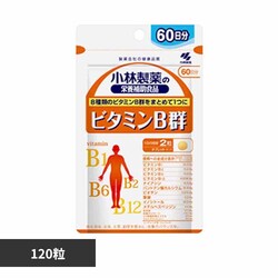 �r�^�~���a�Q 120�� �y�v���U�Z���N�g�z