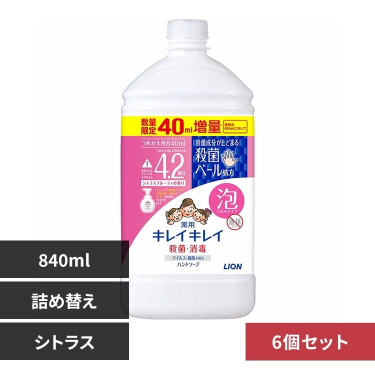 �y6�Z�b�g�z���C�I�� �L���C�L���C��p�A�n���h�\�[�v �l�� ����T�C�Y���ʕi 840ml 00796 �V�g���X�t���[�e�B�y�v���U�Z���N�g�z