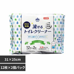 99.9�����ۗ�����g�C���N���[�i�[ 12���~2�p�b�N�E�~���g�̍��� �y�v���U�Z���N�g�z