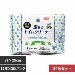 �y24�z99.9�����ۗ�����g�C���N���[�i�[ 12���~2�p�b�N�E�~���g�̍��� �y�v���U�Z���N�g�z