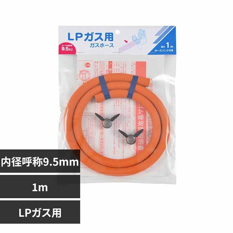 �K�X�z�[�XLP�K�X�p1m-�t�@�C9.5 �I�����W