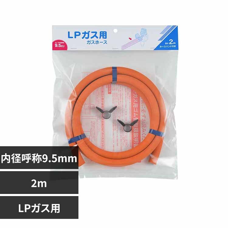 �K�X�z�[�XLP�K�X�p2m-�t�@�C9.5 �I�����W