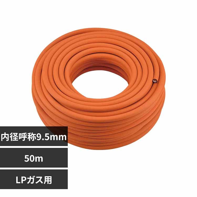 �K�X�z�[�XLP�K�X�p50m-�t�@�C9.5 �I�����W