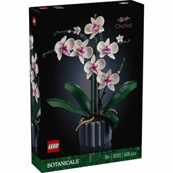 BOTANICALS �Ӓ��� 10311 �y�v���U�Z���N�g�z