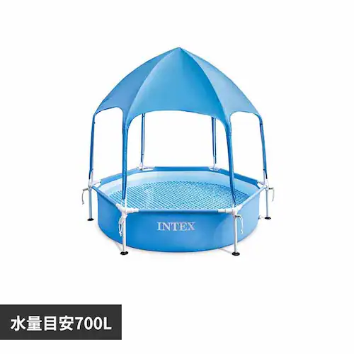 INTEX �L���m�s�[���^���t���[���v�[�� _0