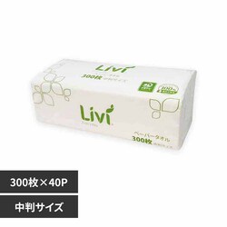 Livi ���r�B �y�[�p�[�^�I�� �G�u���f�C ���� 300���~40�� 8791 