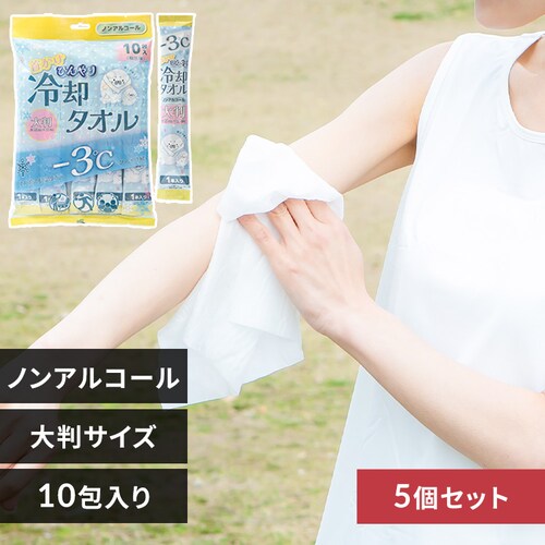 【5個セット】首かけ ひんやり 冷却タオル 25×60cm 10包入り ノンアルコールタイプ_0