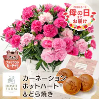 ��̓� 2026 �� �M�t�g ���� �J�[�l�[�V���� �Ӓ��� ���َq�Z�b�g �M�t�g ���A�� �J�[�l�[�V���� �ǂ�Ă� �y���͂���5/6(��)�`5/9(�y)�z�y�����w��s�z