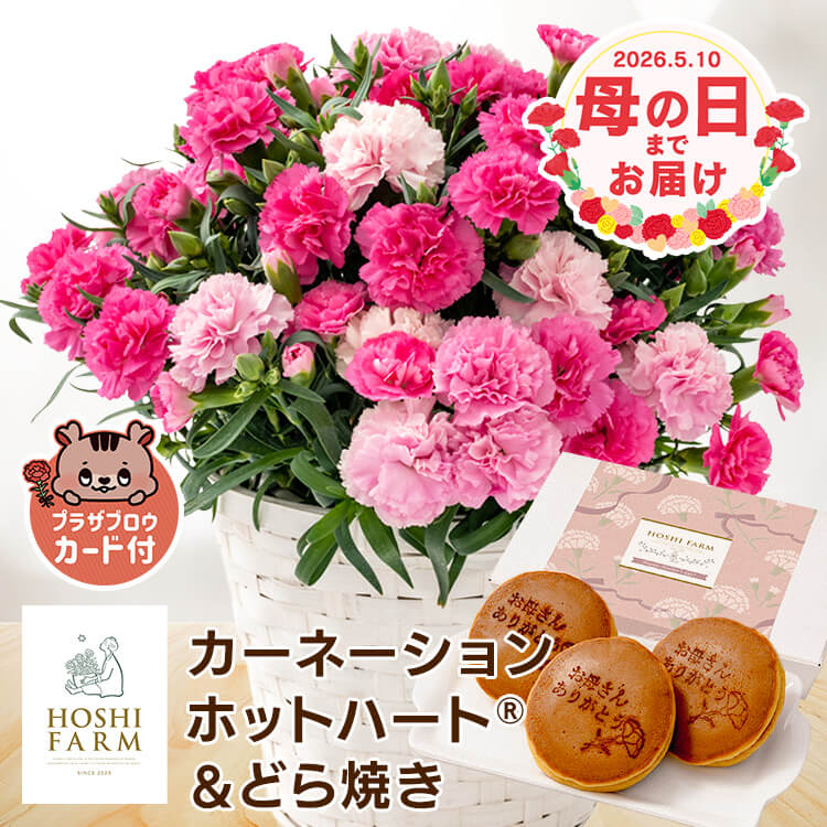 �ǉ����i�T���l�C��