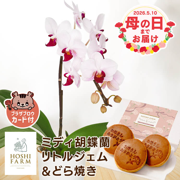 �ǉ����i�T���l�C��