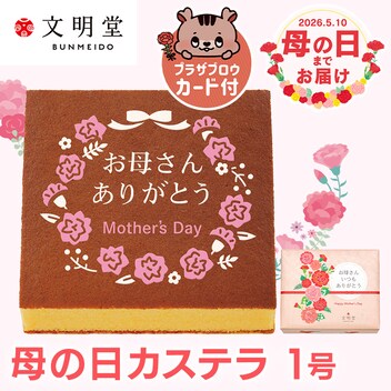 ������ ��̓��J�X�e��